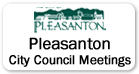 Pleasanton City Council